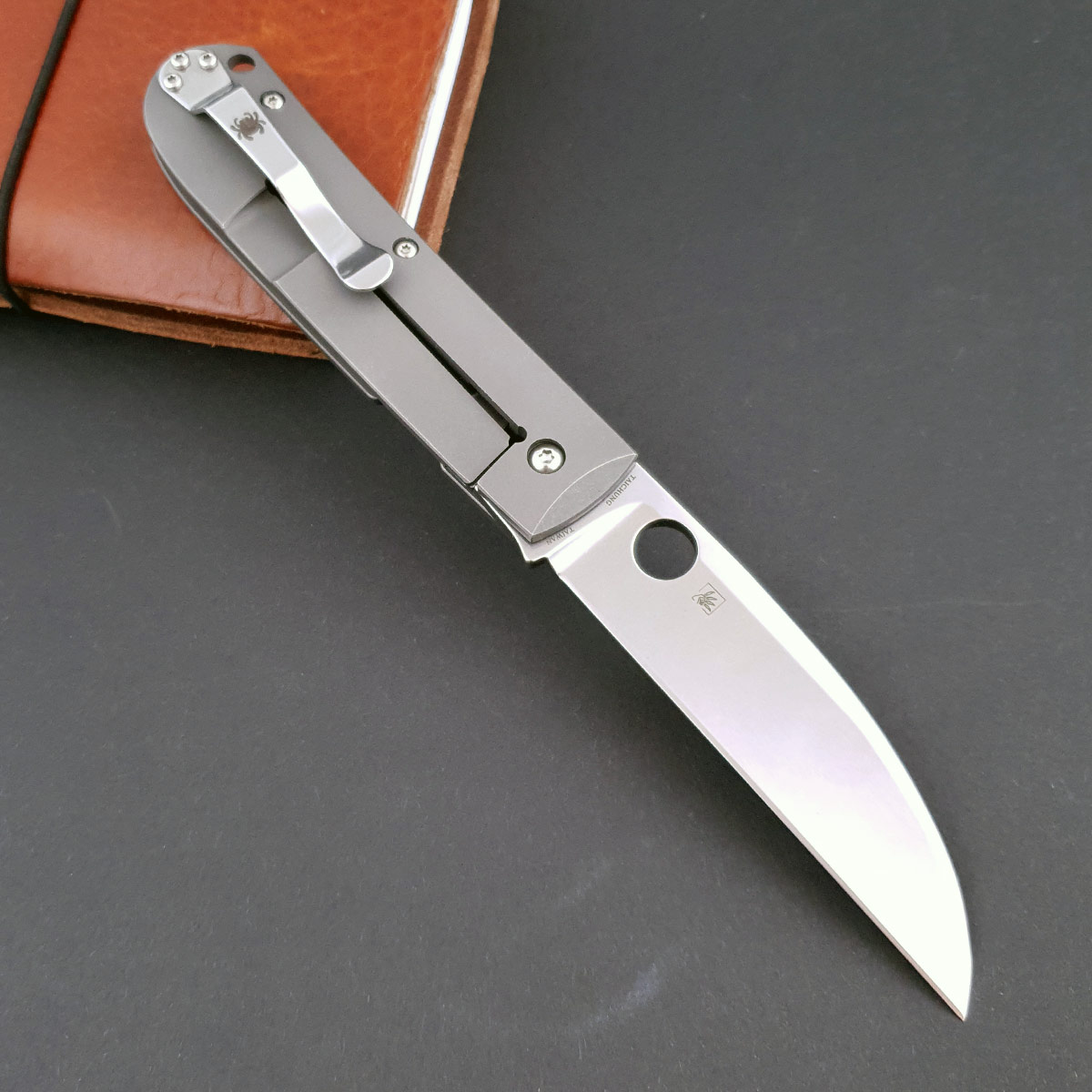 Spyderco Swayback C249TI